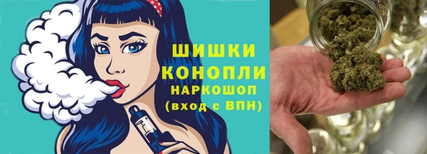 ПСИЛОЦИБИНОВЫЕ ГРИБЫ Балабаново