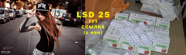 ECSTASY Богородицк