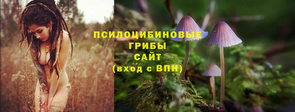 амф Баксан
