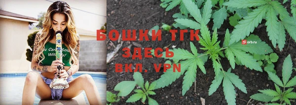 хмурый Аркадак