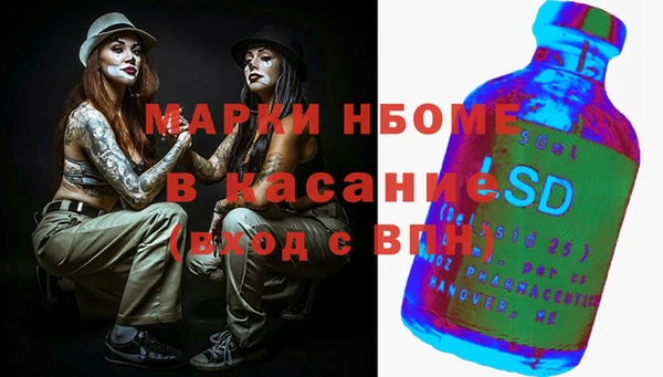 хмурый Аркадак