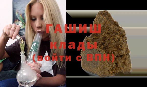 хмурый Аркадак