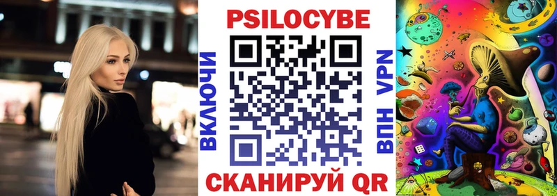 купить наркоту  Кашин  Галлюциногенные грибы Psilocybe 